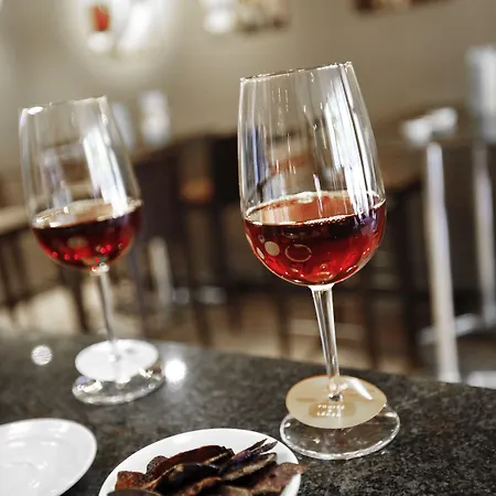 Mercure Centre Alpotel 4*